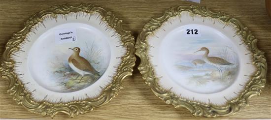 Two Doulton, Burslem ornithological plates, by Henry Mitchell